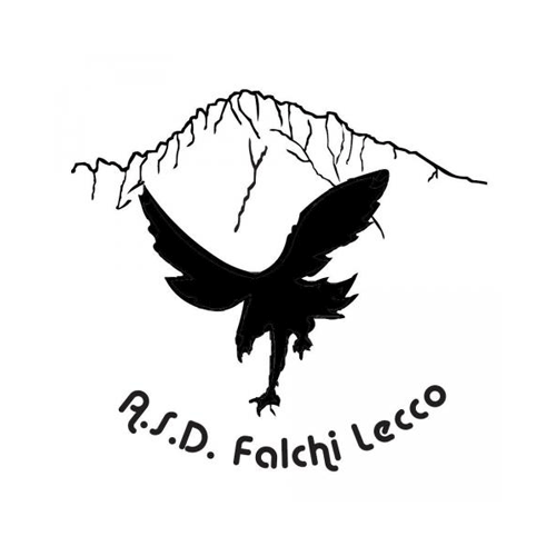 Falchi Lecco logo